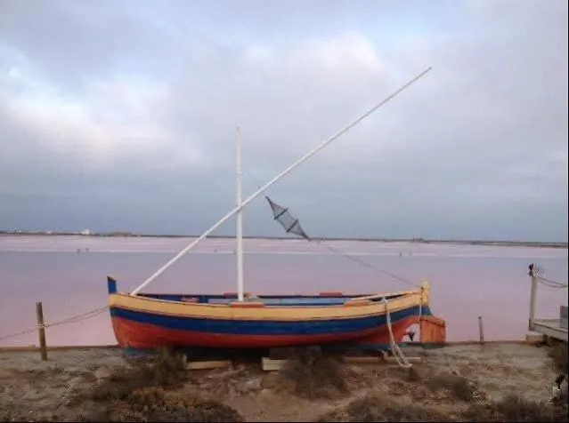 De La Tremiere Salles-dʼAude